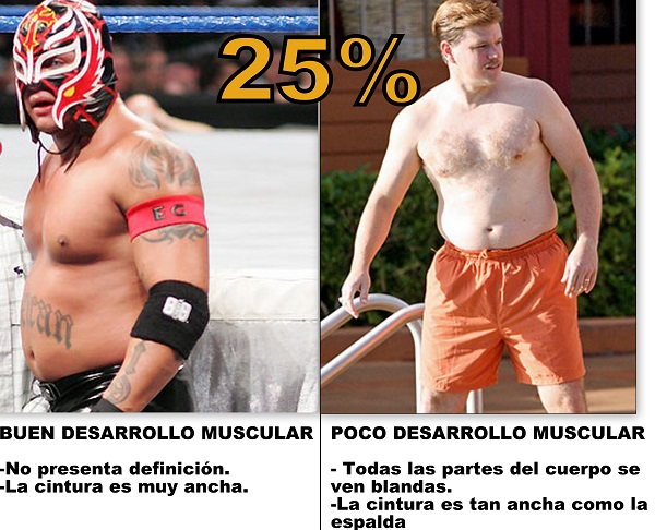 Foto 25% de gordura corporal, imagem para estimar