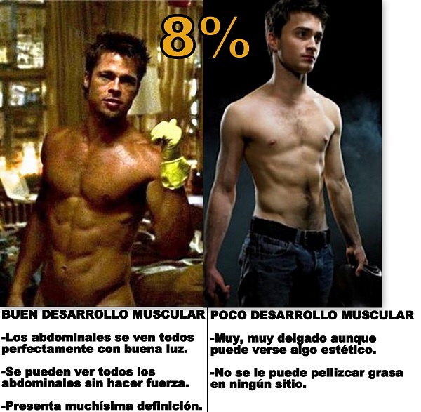 The photo of 8% body fat, Brad Pitt defined in Fight Club
