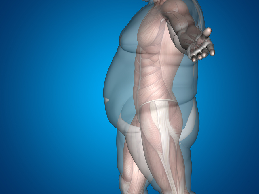 como calcular nosso percentual de gordura corporal