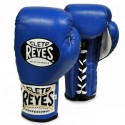 GUIDA PROFESSIONALE/ CLETO REYES COLORE ED