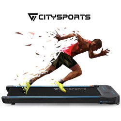 CITYSPORTS 440W MOTOR FLAT RUN ELECTRIC TREADMILL, BLUETOOTH SPEAKERS, GARNISH SPEED