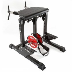 Professional use bench for inverted hyperextensions of portrainer