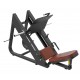 Professional leg press for portrainer discs