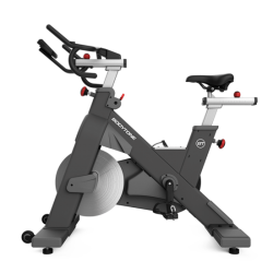 BICI DA SPINNING PROFESSIONALE BT WT1