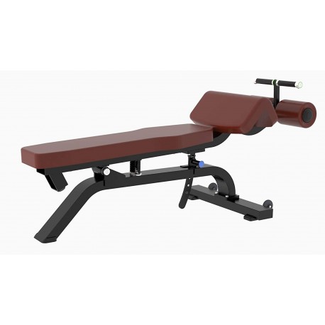 BANC DE FITNESS PROFESSIONNEL POUR PRESSE ABDOMINALE ET RÉGLABLE