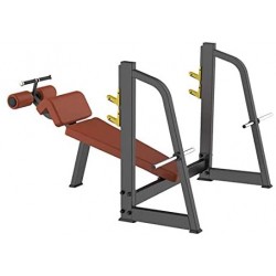 PRESS BENCH DECLINED, PROFESSIONAL FOR CHEST EXERCISE