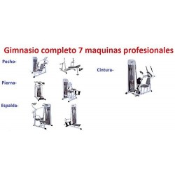 LOTE PACK 7 PROFESSIONAL MACHINES (FULL GYMNASIUM)