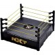 PEQUEÑO RING WWE DE ADORNO SUPERESTRELLAS BASIC NXT (MATTEL FMH15)