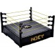 PEQUEÑO RING WWE DE ADORNO SUPERESTRELLAS BASIC NXT (MATTEL FMH15)