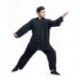 ICNBUYS Kung Fu Tai Chi Uniform - Seda de algodón para hombre, Hombre, color gris, tamaño large