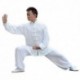 E-Bestar - Uniforme de Tai Chi y Kung Fu de seda y algodón, unisex, traje para artes marciales, Large