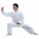 E-Bestar - Uniforme de Tai Chi y Kung Fu de seda y algodón, unisex, traje para artes marciales, Large