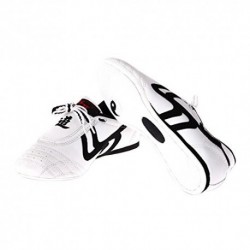 CHAUSSURES DE SPORT TAEKWONDO CHAUSSURES CONFORTABLES TAEKWONDO CHAUSSURES TAILLE : 42