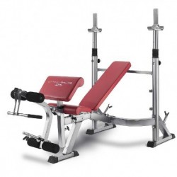 BH FITNESS TRAININGSBANK G330 OPTIMA PRESS - BANCO MULTIPOSITION OPTIMA PRESS