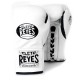 GUIDA PROFESSIONALE/ CLETO REYES COLORE ED