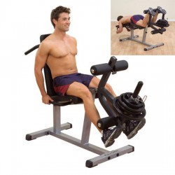 BANK DELUXE ERWEITERUNG VON QUADRICEPS / FEMORAL DISK CURL