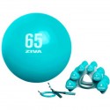 ZIVA CHIC WELLNESS KIT TURQUESA - COMBA, FITBALL Y MANCUERNAS + SOPORTE