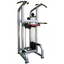 MÁQUINA DOMINADA ASSISTIDA / FUNDOS / PLATINA ABDOMINAL RS-5H 08