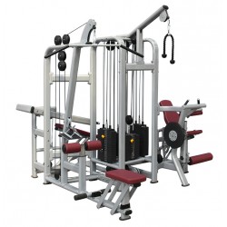 PROFESSIONAL GYMNASIUM PLATINUM RS-5H 23