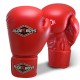 GLOVES TRAINING BOXING RB HOOK