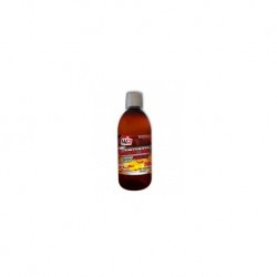 L-CARNITINA LIQUIDO 500 ML