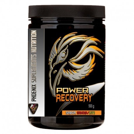 RECUPERADOR MUSCULAR PSN POWER RECOVERY 500 GR