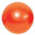PROFESSIONELLE FITBALL