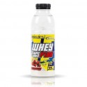 PROTÉINE EN MONODOSE WHEY WPC P100 REVTECH 35G