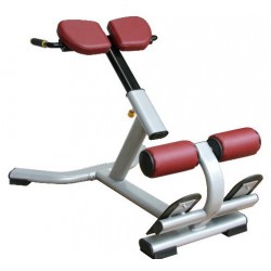 BANK HYPEREXTENSIONS LUMBAR PLATIN RS-5H 02