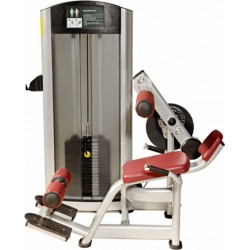 MÁQUINA ABDOMINALES / LUMBARES PLATINUM RS-H5 11