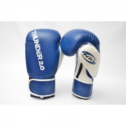 BOXING GLOVES THUNDER 2.0