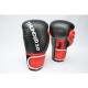 BOXING GLOVES THUNDER 2.0