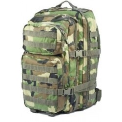 Mochila US Assault Pack woodland