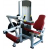 MACHINE FÉMORALE ENCADRÉ RS-5H 33
