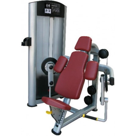 MÁQUINA CURL DE BICEPS PLATINUM RS-5H 38