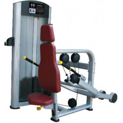 MACHINE À PRESSE TRICEPS PLATINUM RS-5H 39