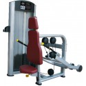 MÁQUINA DE IMPRENSA TRICEPS PLATINA RS-5H 39