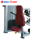 MÁQUINA PRESS DE TRICEPS PLATINUM RS-5H 39