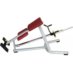 ROWING BENCH WITH PLATINUM SUPPORT RS-5H 46