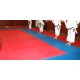 FLOOR TATAMI PUZZLE 3 CM - BLUE AND RED