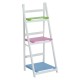 Folding shelf of foot type portable staircase and.