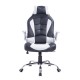 Office chair type revolving chair of writeri.