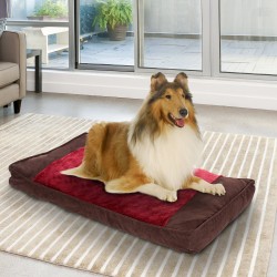 Bed for dogs and cats fabric material of third.