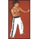 PANTALON DE CONTACT COMPLET / KICK BOXING - RASO