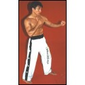 PANTALONES FULL CONTACT / KICK BOXING - RASO 