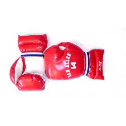 BOY BOXING GLOVES - GO THERE