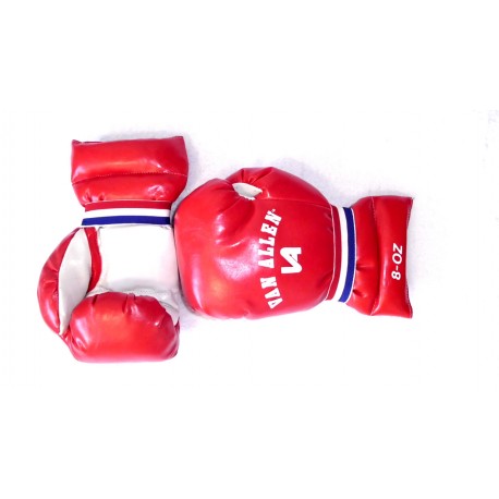 GUANTES BOXEO NIÑO - VAN ALLEN