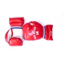 BOY BOXING GLOVES - GO THERE