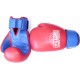 GUANTES ENTRENAMIENTO BOXEO 10 ONZAS