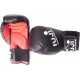 GUANTES ENTRENAMIENTO BOXEO FUJI 10 ONZAS 